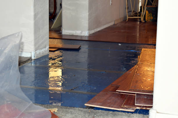 Professional Sewage Cleanup technician working in Kimbolton, OH